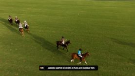 Copa de Plata 2025 Final Alto – Amanara vs Black Bears – Highlights