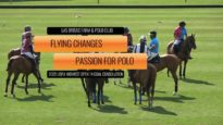 USPA Midwest Open 14 Goal Consolation Final – Flying Changes v Passion For Polo