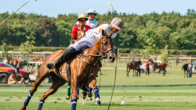 Animales-Magdeleine ©Adèle Renauldon – R&B Presse-02573