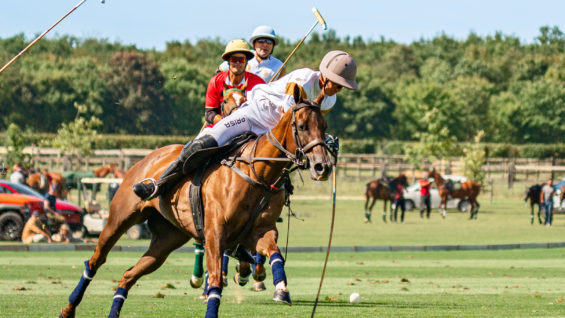 Animales-Magdeleine ©Adèle Renauldon – R&B Presse-02573