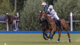 OdF D5 © Guadalupe Aizaga 1