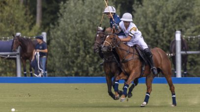 OdF D5 © Guadalupe Aizaga 1