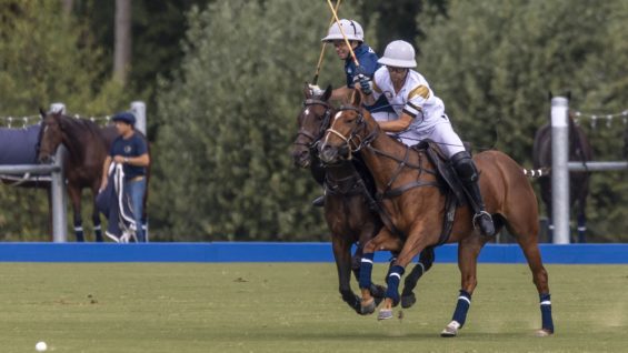 OdF D5 © Guadalupe Aizaga 1