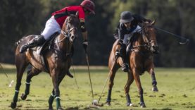 OdF D5 © Guadalupe Aizaga 11