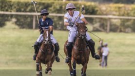 OdF D5 © Guadalupe Aizaga 5