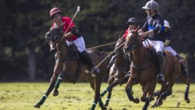 OdF D5 © Guadalupe Aizaga 8