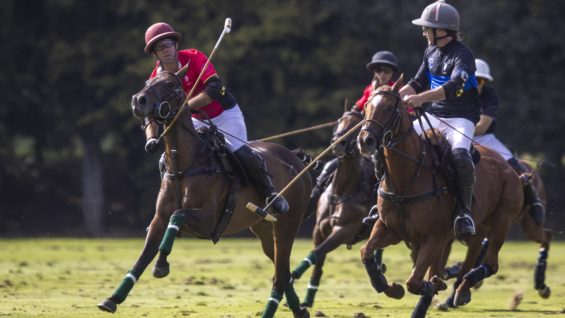 OdF D5 © Guadalupe Aizaga 8