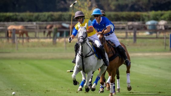 OdF25_D6 Octove vs Clinova © Justine Jacquemot-530A3142