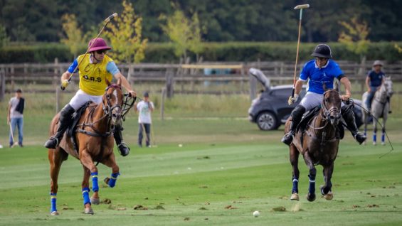 OdF25_D6 Octove vs Clinova © Justine Jacquemot-530A3215