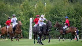 OdF25_D8 Brittany vs Animales © Justine Jacquemot-530A3706