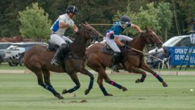 OdF_D8 Octogone vs La Esperanza © Pascal Renauldon RB Presse 1