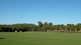 Final Copa Laguna Estepona 2025 – Indias Polo vs MF Polo