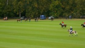 Open de France de Polo Barnes 2025 – Brittany Polo vs Animales Polo – Highlights