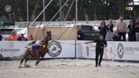 Singureni Manor Polo Cup 2025 – Reto Gaudenzi