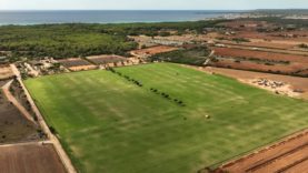 Mallorca – Caspar Crasemann