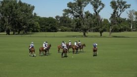 Thai Polo Cup 2025 – Carbenella vs Balanz Capital