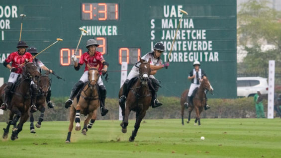 PHOTO-2026-01-10-15-31-24-2