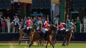 PHOTO-2026-01-18-09-43-55