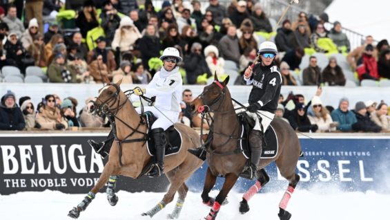 PHOTO-2026-01-25-22-01-42