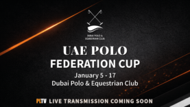 UAE FED CUP