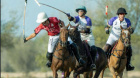 WhatsApp Image 2026-01-27 at 17.55.32