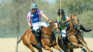 WhatsApp Image 2026-01-27 at 17.55.33