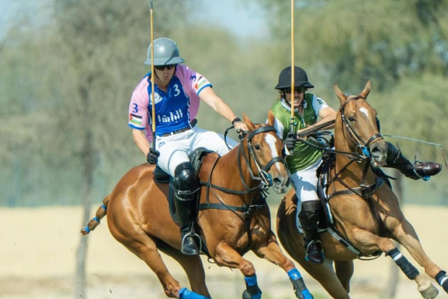 WhatsApp Image 2026-01-27 at 17.55.33