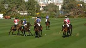 Dubai Gold Cup 2026 – Bangash v UAE Highlights