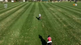 Dubai Silver Cup 2026 – Habtoor v Wolves – Highlights