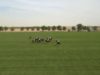 Emirates Polo Championship 2026 – Ghantoot Polo Team v Abu Dhabi Polo Team