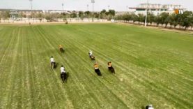 Emirates Polo Championship 2026 – Ankora Lamar vs Bhansali Polo – Highlights