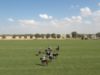 Emirates Polo Championship 2026 – Ghantoot Polo v El Basha Polo