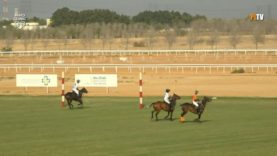 Emirates Polo Championship 2026 – AM Polo v Bhansali Polo – Highlights