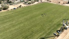 Emirates Polo Championship 2026 – Habtoor Polo v Ghantoot Polo