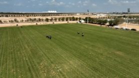 Emirates Polo Championship 2026 – AM v Ankora/Lamar