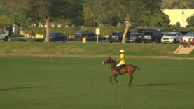 UAE Polo Federation Cup 2026 – Bin Drai v Noon Highlights