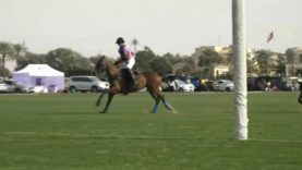 UAE Polo Federation Cup 2026 Semifinal – UAE v El Basha Highlights