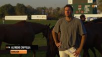 Dubai Gold Cup 2026 – Alfredo Cappella