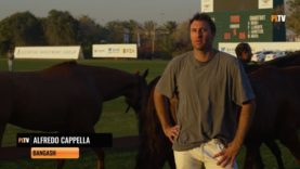 Dubai Gold Cup 2026 – Alfredo Cappella