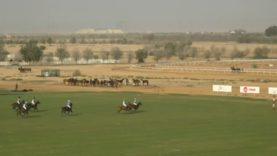 Emirates Polo Championship 2026 Subsidiary Final – El Basha v Abu Dhabi Highlights
