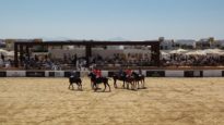 El Gouna Beach Polo Kings Polo Silver Cup 2026 – La Roche Posay vs Warp Drive