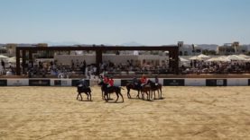 El Gouna Beach Polo Kings Polo Silver Cup 2026 – La Roche Posay vs Warp Drive