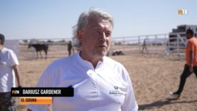 El Gouna Beach Polo Kings Polo Silver Cup 2026 – Dariusz Gardener