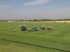 Kings Polo Gold Cup 2026 – Felopateer vs Landmores