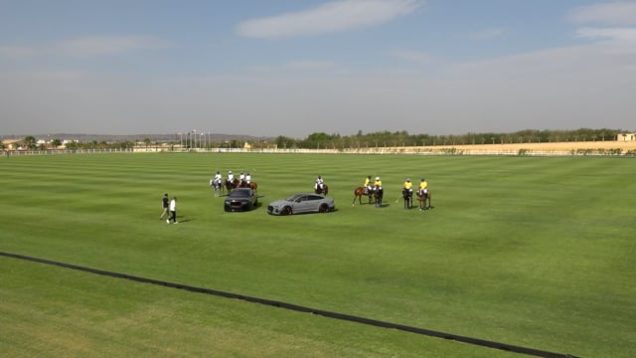 Kings Polo Gold Cup 2026 – Felopateer vs Landmores