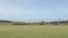 Copa Joseph McMicking 2026 – Delta Defence Vs MF Polo