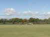 Copa Joseph McMicking 2026 – Round Robin MF – Almigos – Jolly Roger