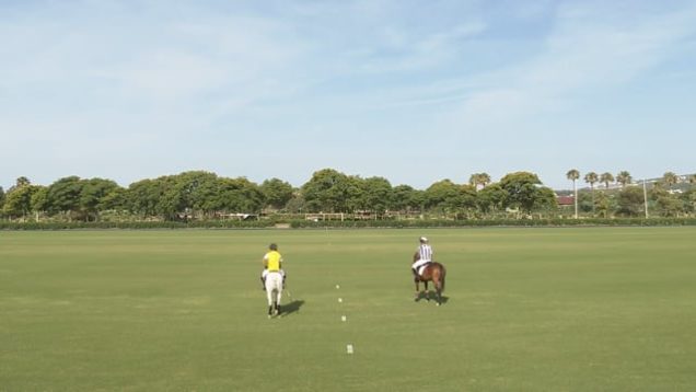 Open De España Laguna 2026 – Almigos Dusseldorf Vs MF Polo