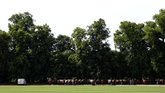 Polo Nations Cup Barnes 2026 – Normandie vs Pakistan