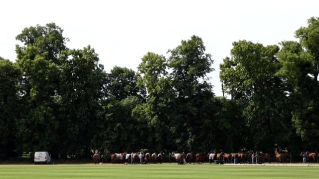 Polo Nations Cup Barnes 2026 – Normandie vs Pakistan